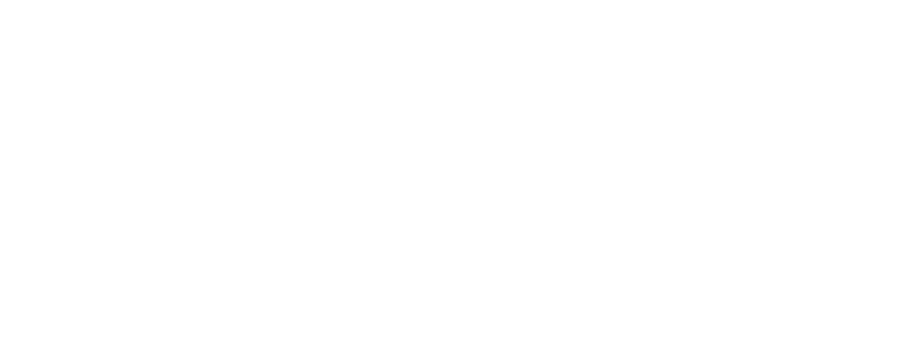 AVS Connect