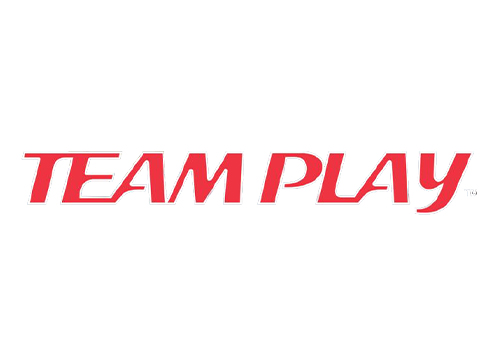 TeamPlay Logo