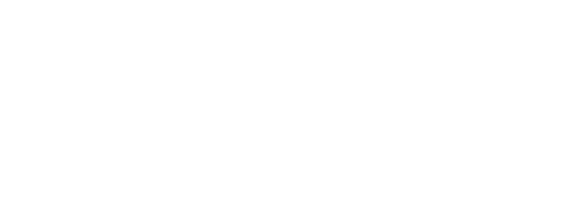 AVS Companies Logo