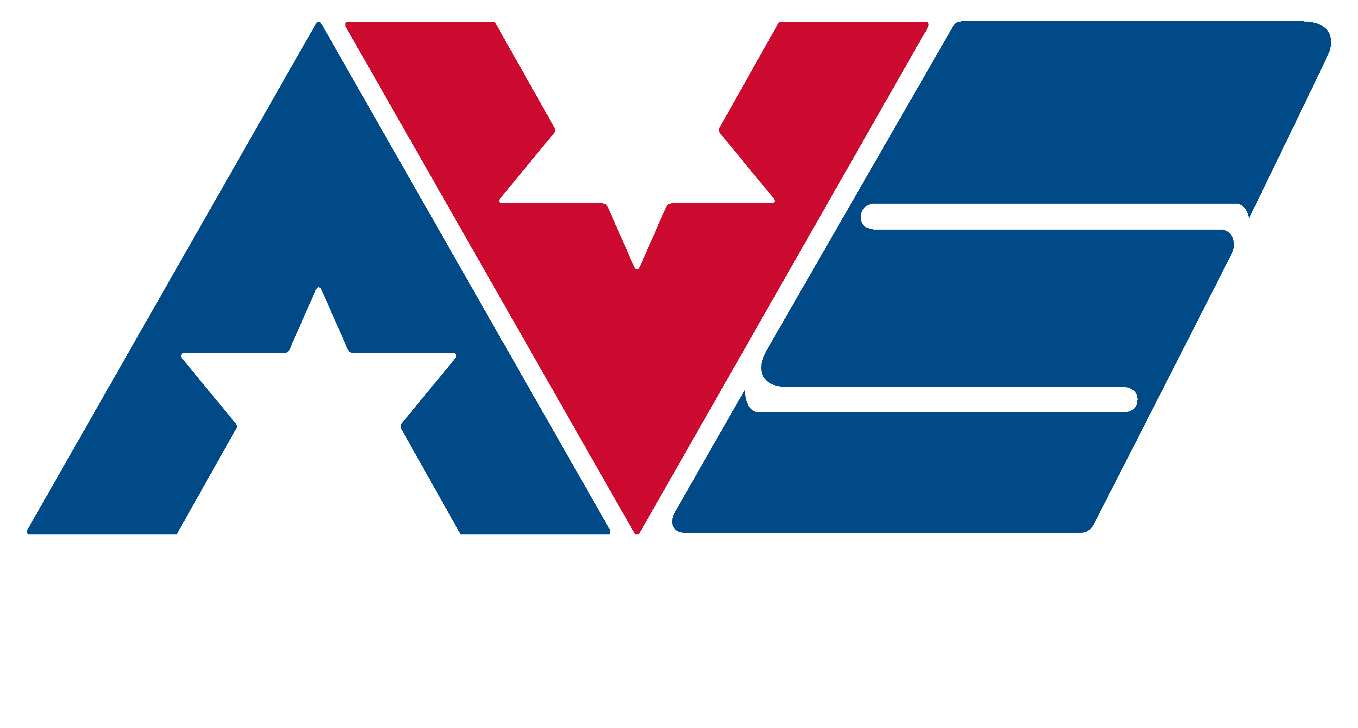 AVS Companies