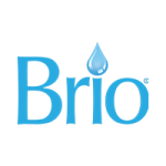 Brio Web Logo