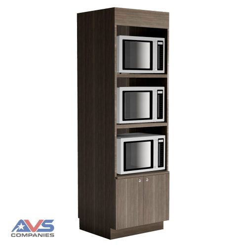 IFSMC3—3 Microwave Cabinet